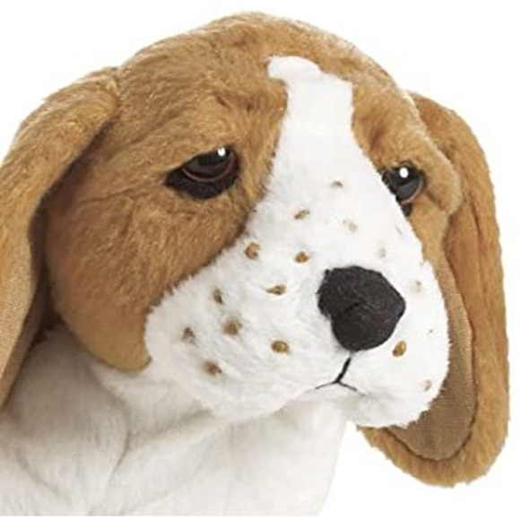American Girl Doll KITS PET DOG "GRACE" Basset Hound Puppy Brown White + AG BAG! - Picture 2 of 6